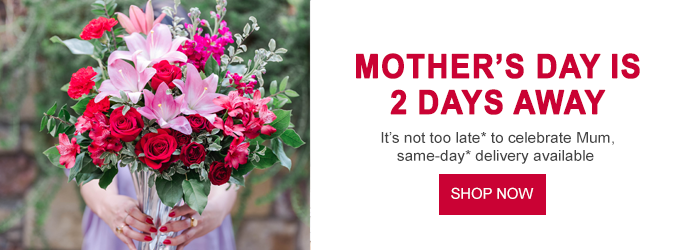 Save 20% Sitewide
