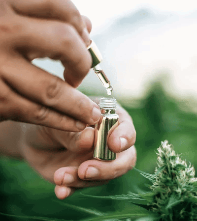 marijuana