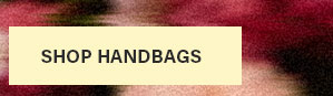 Shop handbags