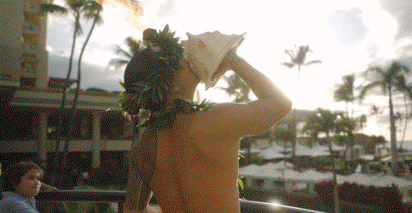 Hero video featuring 4 scenes: 1) A man blowing a conch shell. 2) Beach view looking at the resort 3) Two girls taking a paddleboard lesson 4) Couple sitting at a bar.