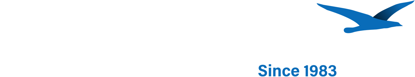 BeachCamera.com