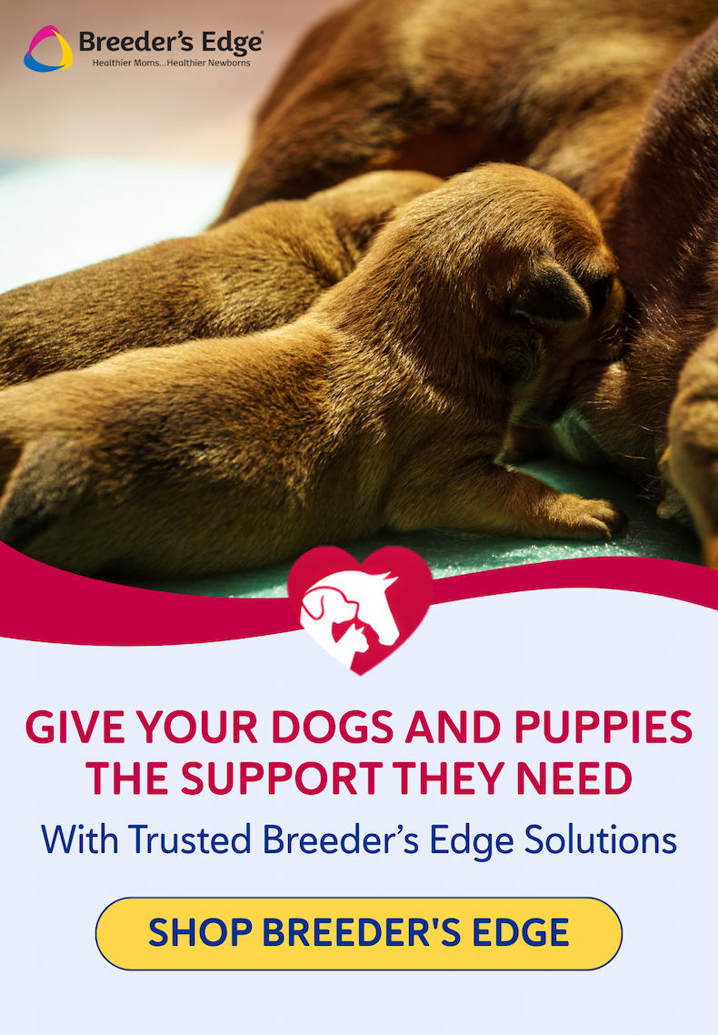 Give your dogs and puppies the support they need with trusted Breeder’s Edge solutions. SHOP BREEDER'S EDGE