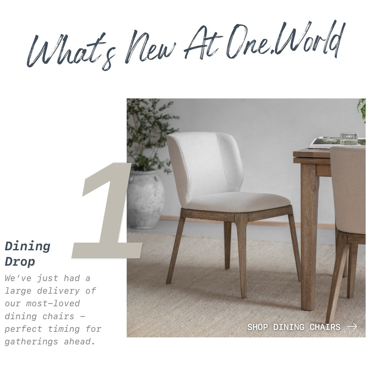 Dining Drop - we've just had a large delivery of our most-loved dining chairs.