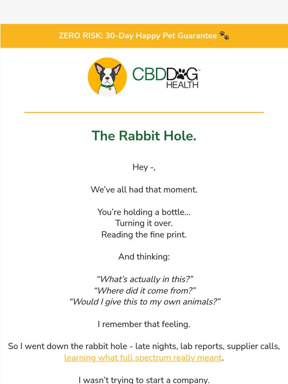 The rabbit hole that changed everything...