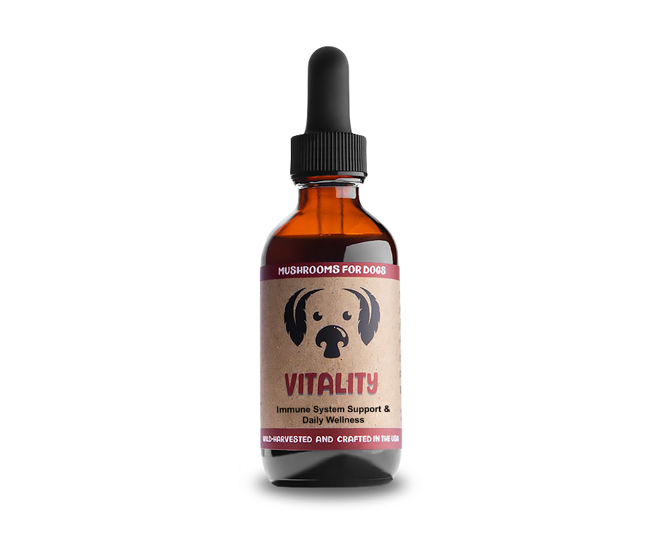 VITALITY BY MYCODOG