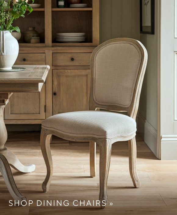 Shop Dining Chairs