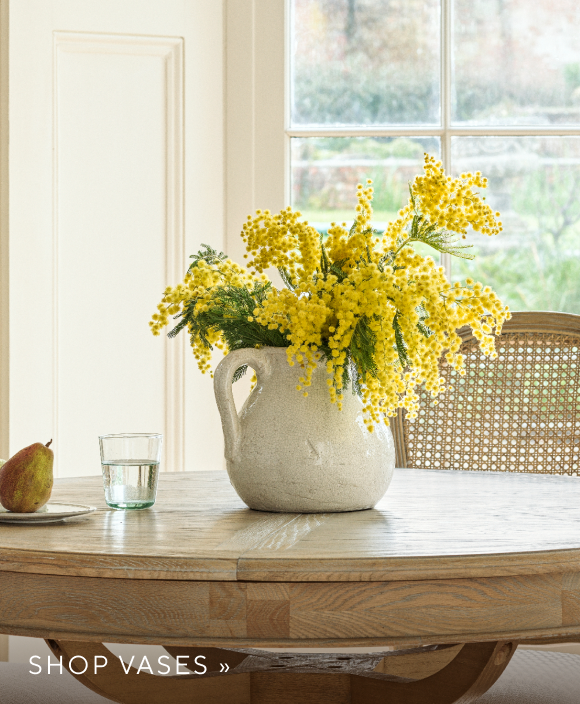 Shop Vases
