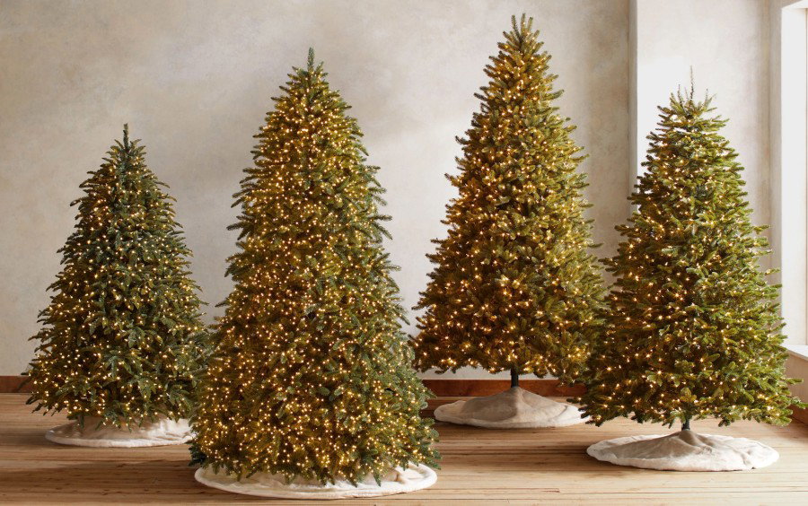 Grove of artificial Christmas trees