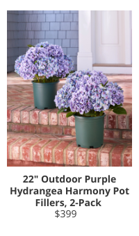 Product Recommendation 1