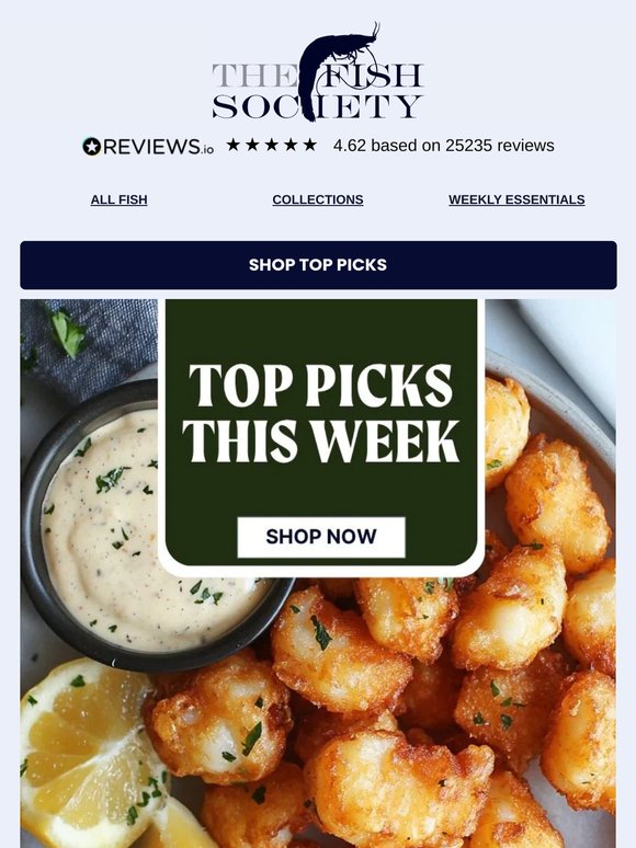 This Week’s Top Picks 🐟
