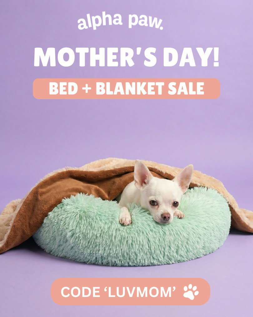 Mom's Day Bed