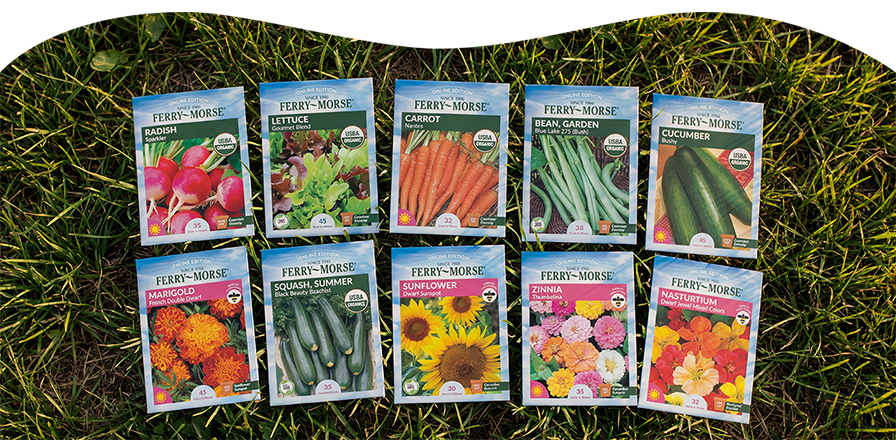 Ferry-Morse direct sow seed variety pack with vegetables and flowers
