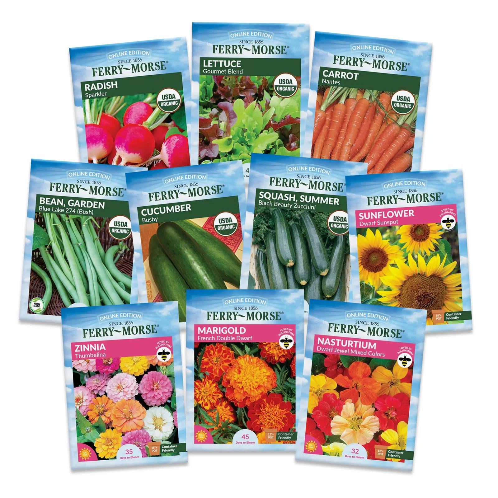 Image of Easy Grow Garden Seed Variety Pack - 10 Pack