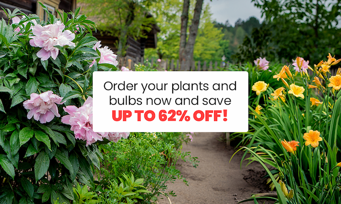 Spring-Planting: Up to 56% off