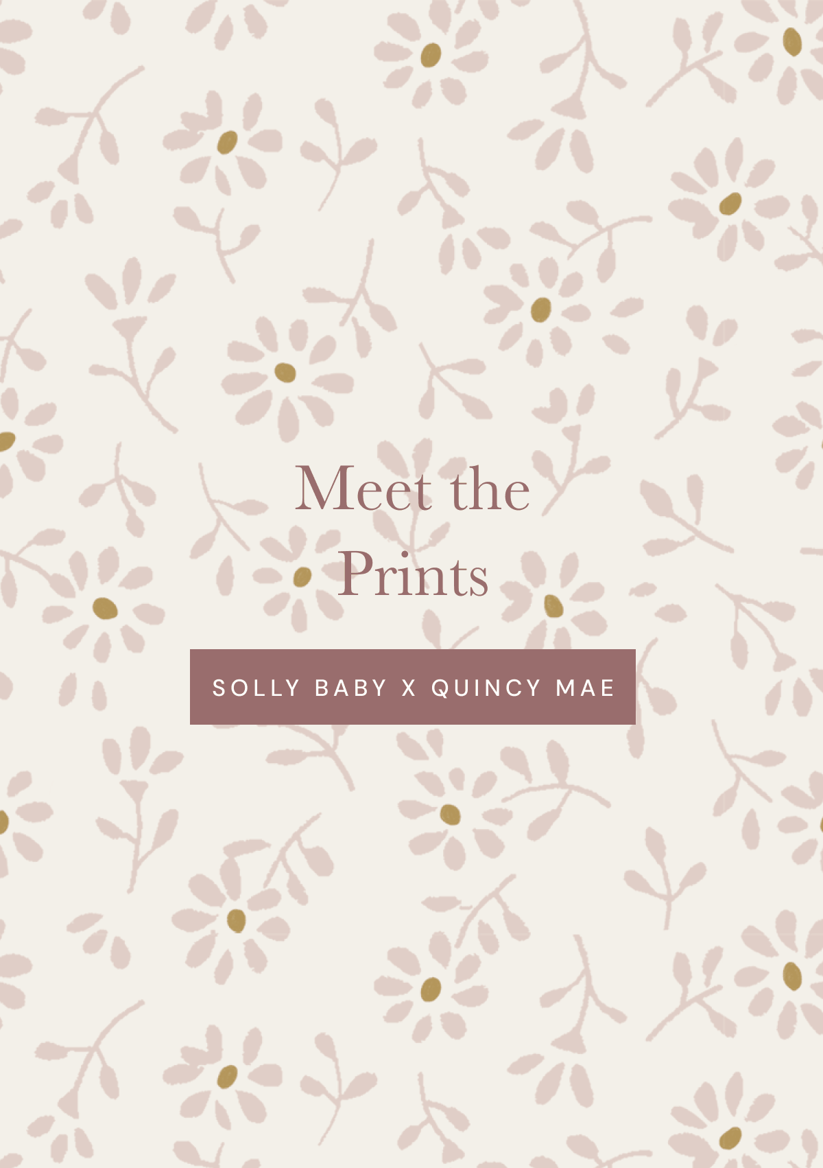 Meet the Prints [ Solly Baby x Quincy Mae ]