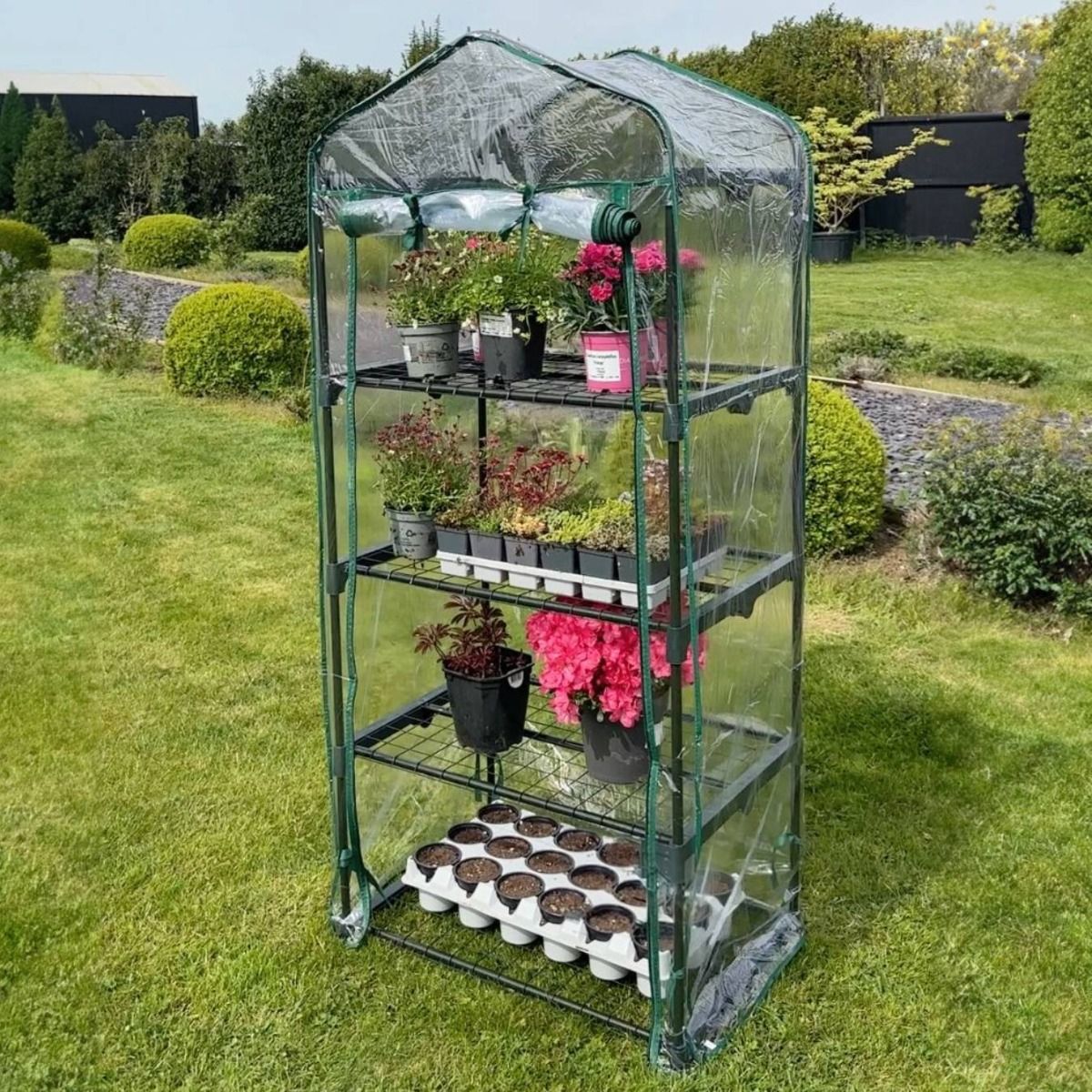 Four-Tier Mini Greenhouse With Clear Cover