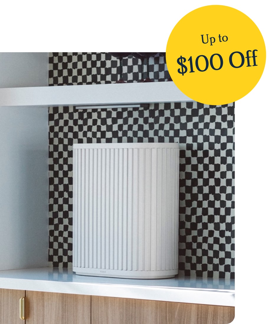 Air Purifier Max