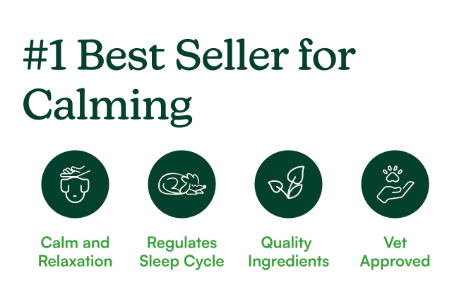 #1 best seller