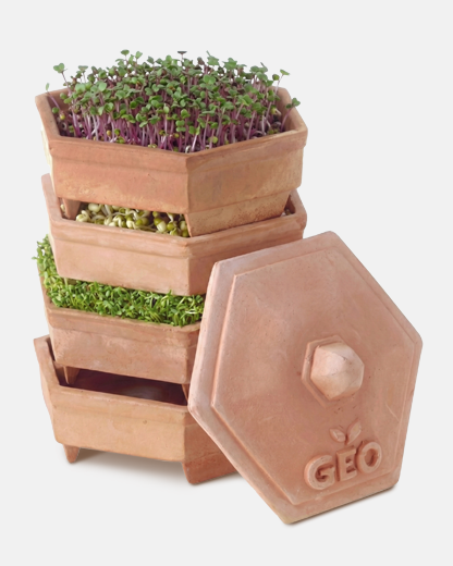 GEO Terradisiena 4-Tier Terracotta Sprouter