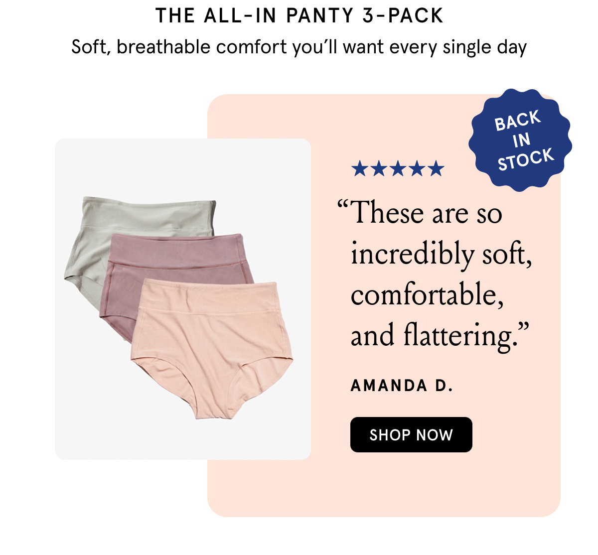The All-In Panty 3-Pack