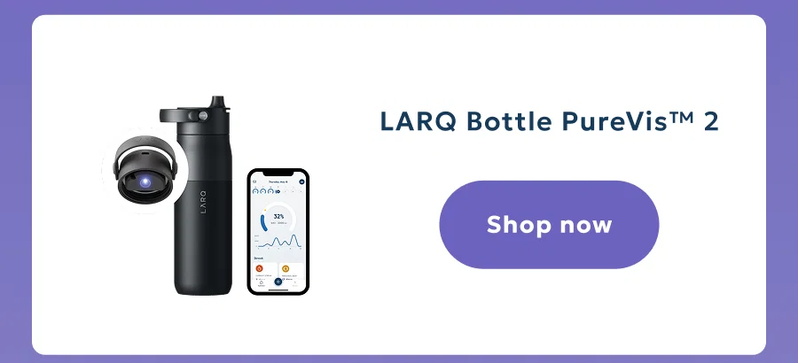 LARQ Bottle PureVis™ 2