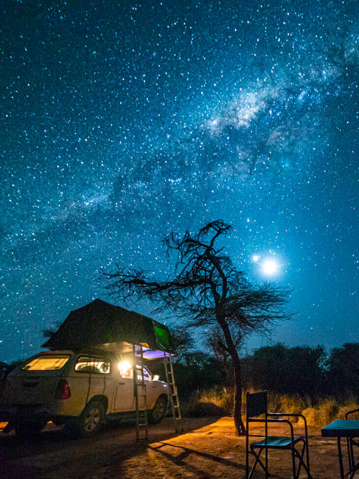 Immersion en Afrique du Sud et Namibie