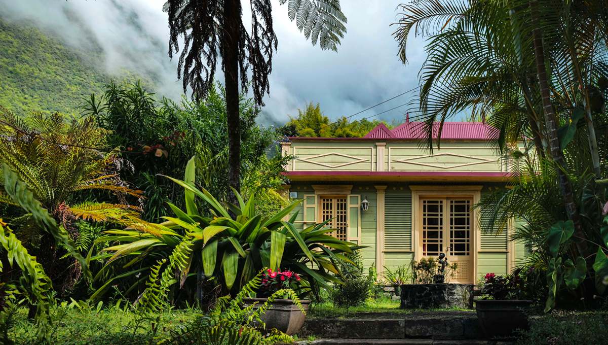 Immersion à l'île Maurice et La Réunion
