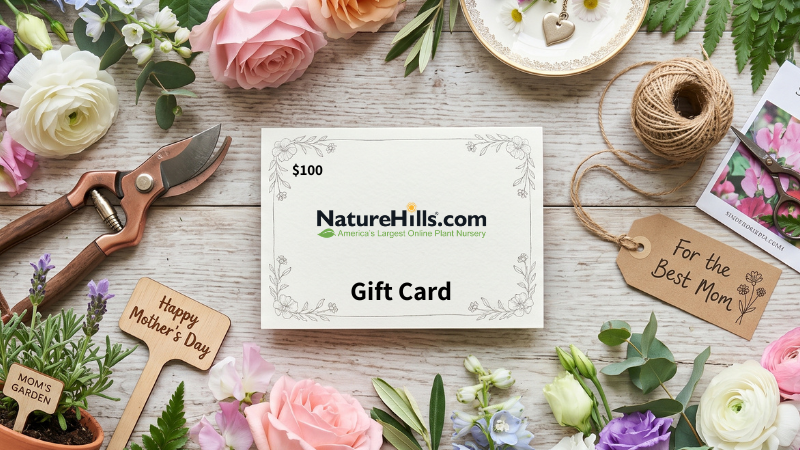 A Mother's Day gift card from Nature Hills in the middle of gardening tools, cut roses and other flowers with various tags and plant stakes mentioning mother's day.