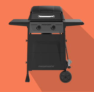 A BBQ