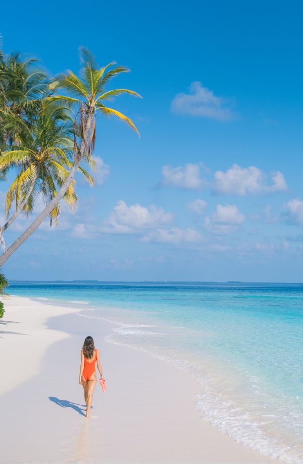 Malahini Kuda Bandos