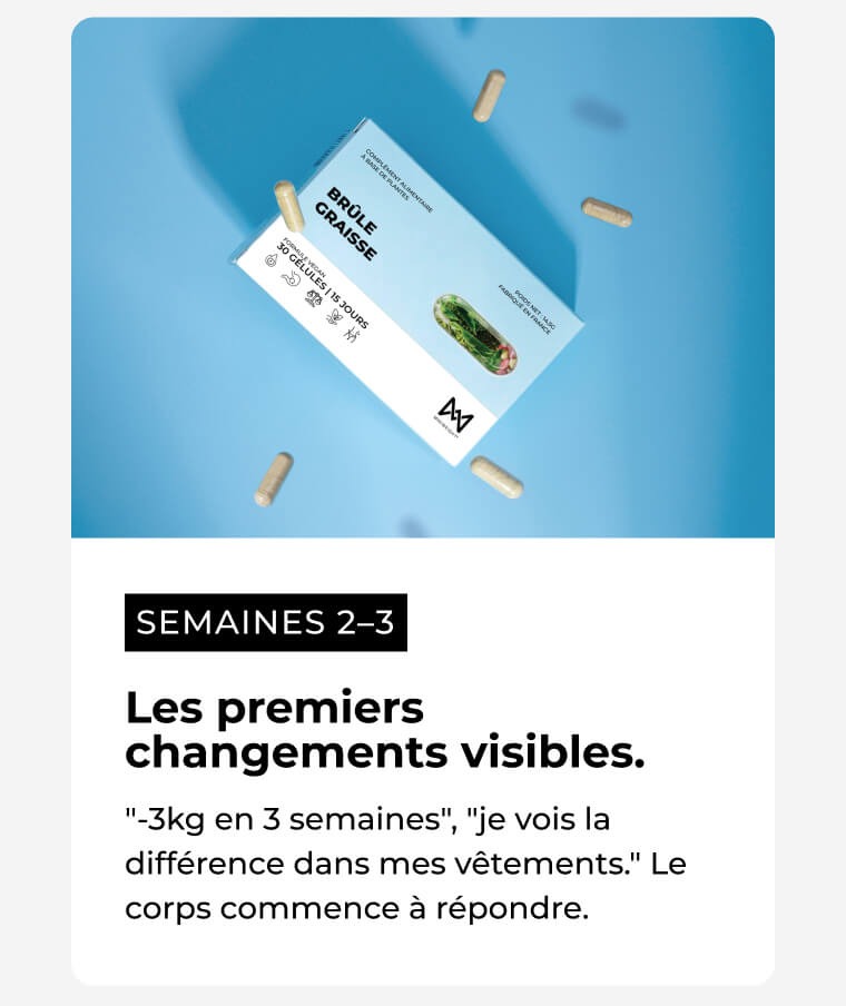 Les premiers changements visibles 1