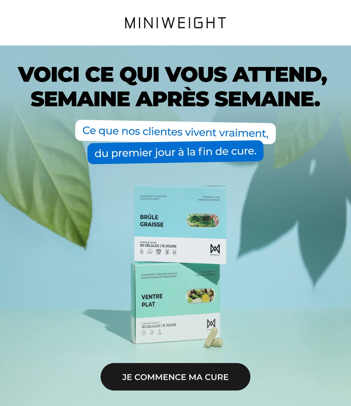 Voici ce qui vous attend