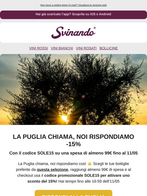La Puglia chiama: rispondi con -15% ☀️