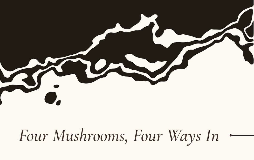 Four Mushrooms, Four Ways In