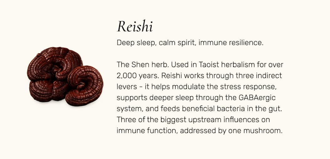 Reishi