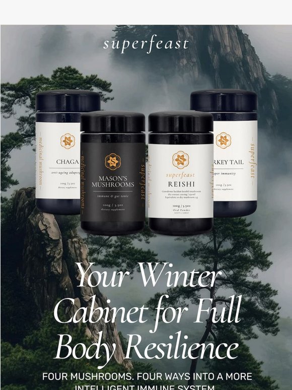 The 4 mushrooms to have in your cabinet before June.