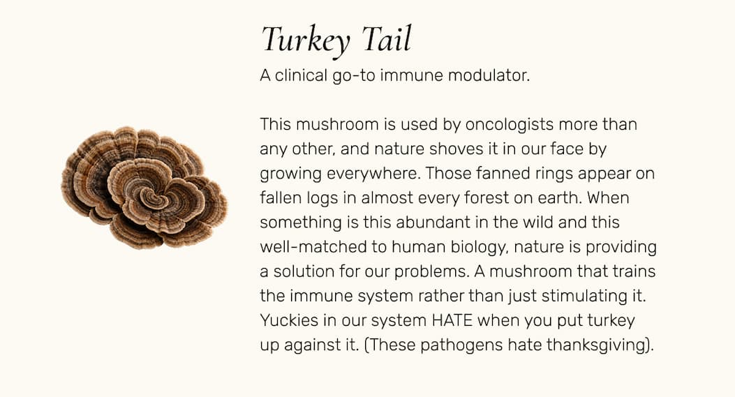 Turkey Tail