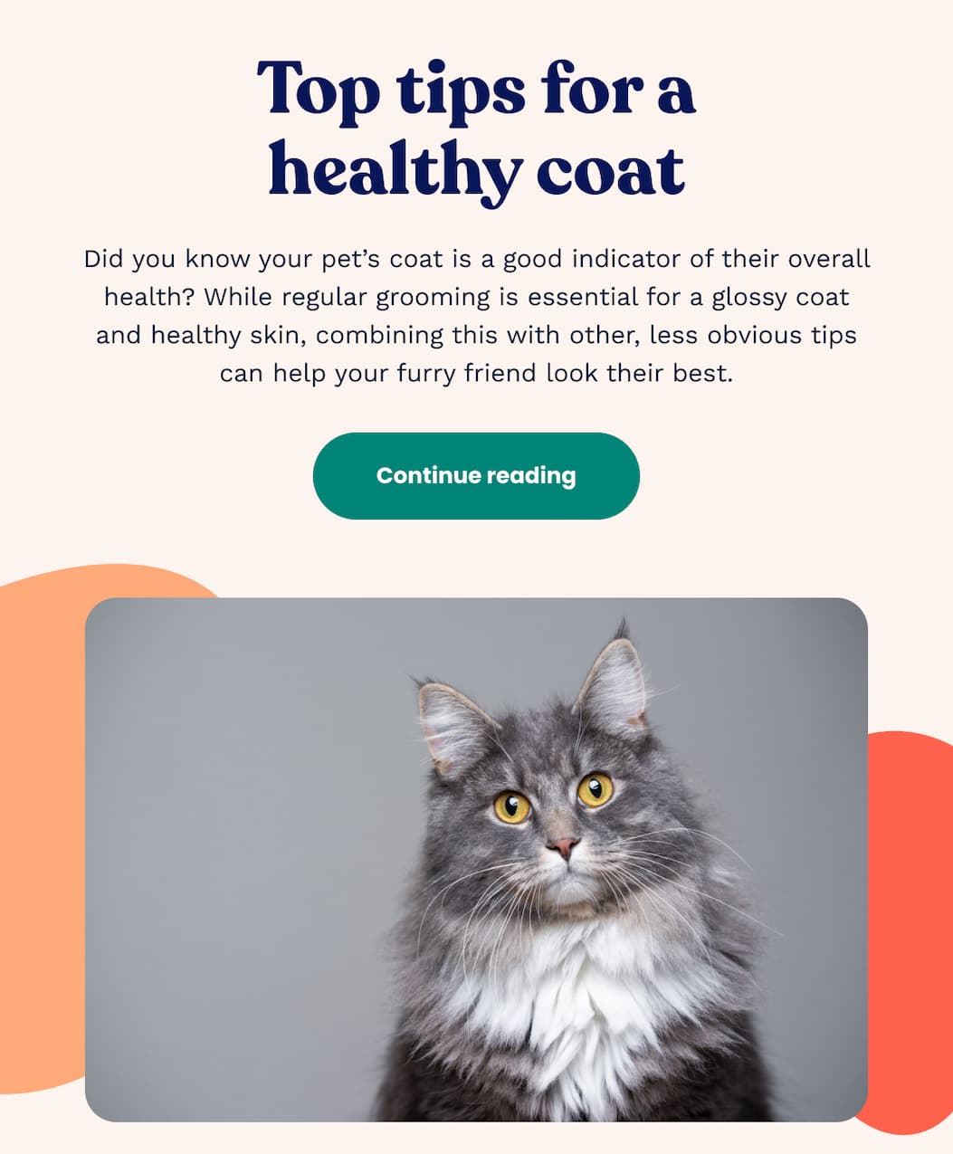 Top tips for a healthy coat