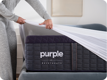Accessories<span class='hide'><br/><br/></span>