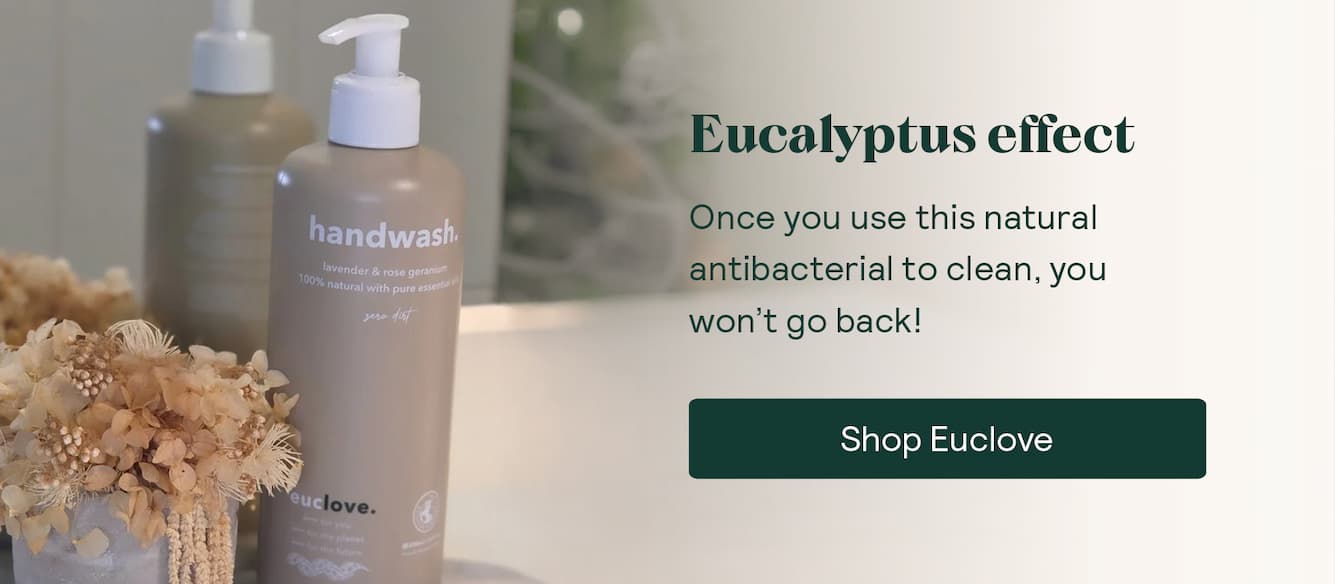 Shop Euclove 