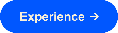 Experience