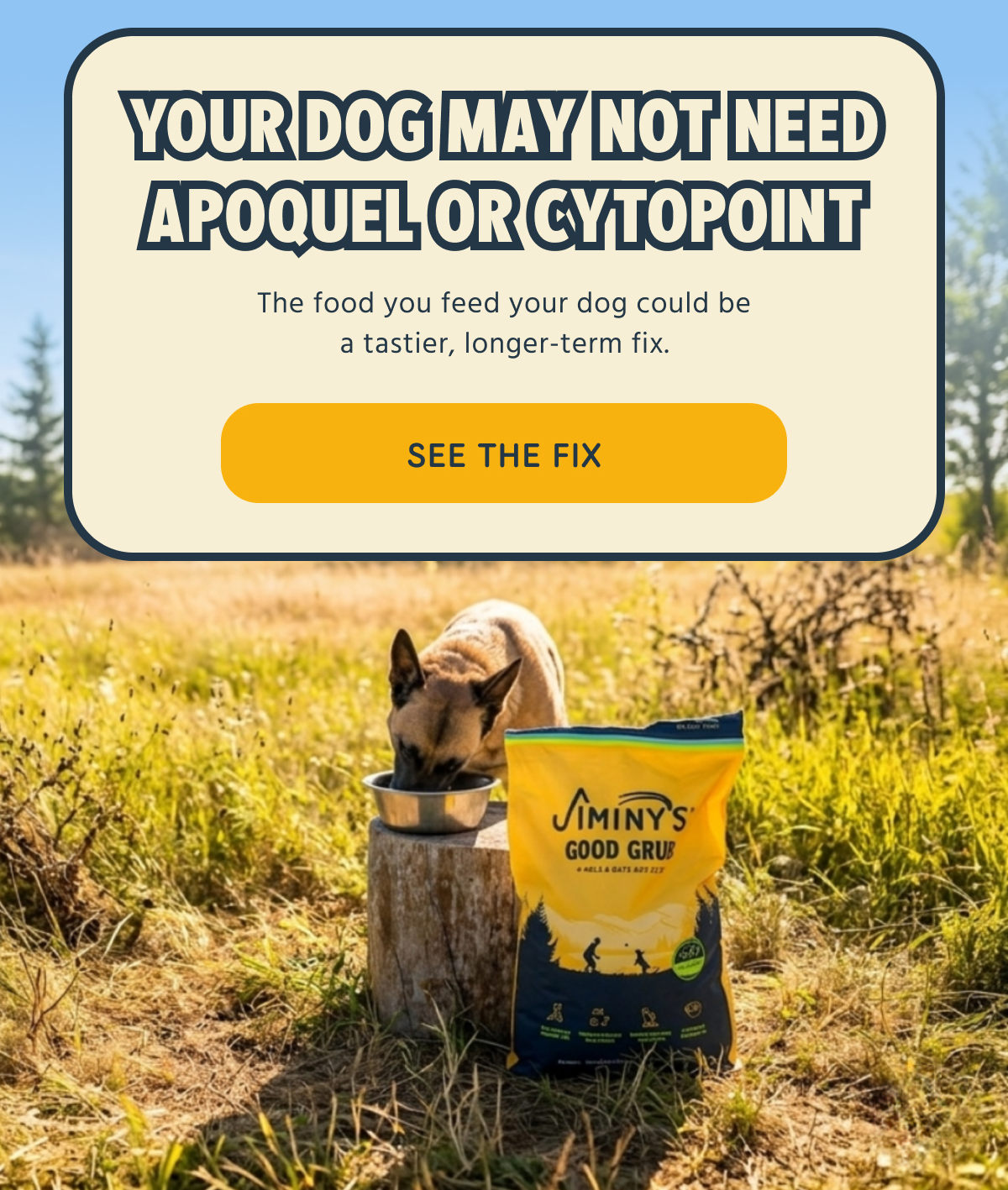 YOUR DOG MAY NOT NEED APOQUEL OR CYTOPOINT   The food you feed your dog could be a tastier, longer-term fix.   -- SEE THE FIX  