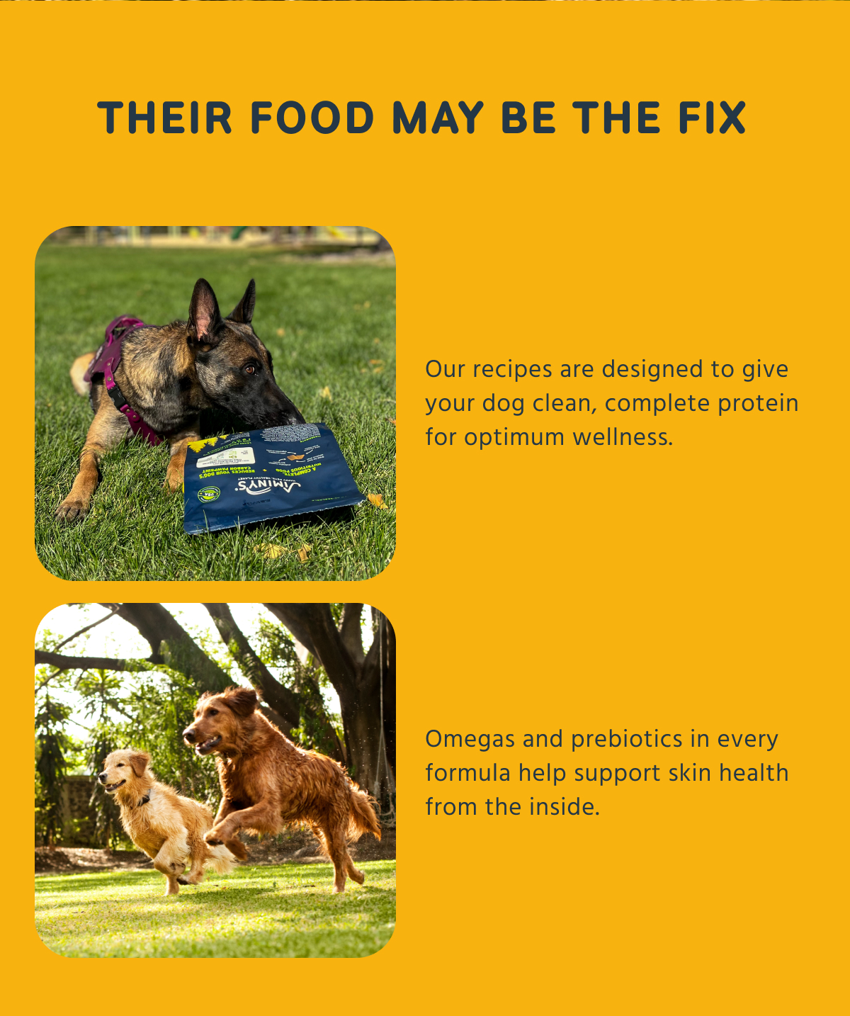 THEIR FOOD MAY BE THE FIX    Our recipes are designed to give your dog clean, complete protein for optimum wellness.    Omegas and prebiotics in every formula help support skin health from the inside.  