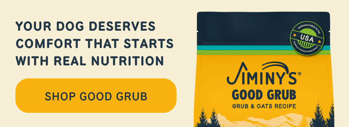 YOUR DOG DESERVES COMFORT THAT STARTS WITH REAL NUTRITION   -- SHOP GOOD GRUB  