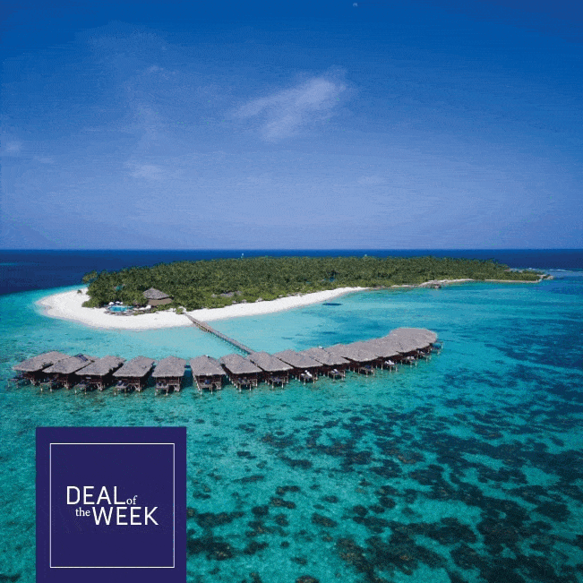 Deal of the Week