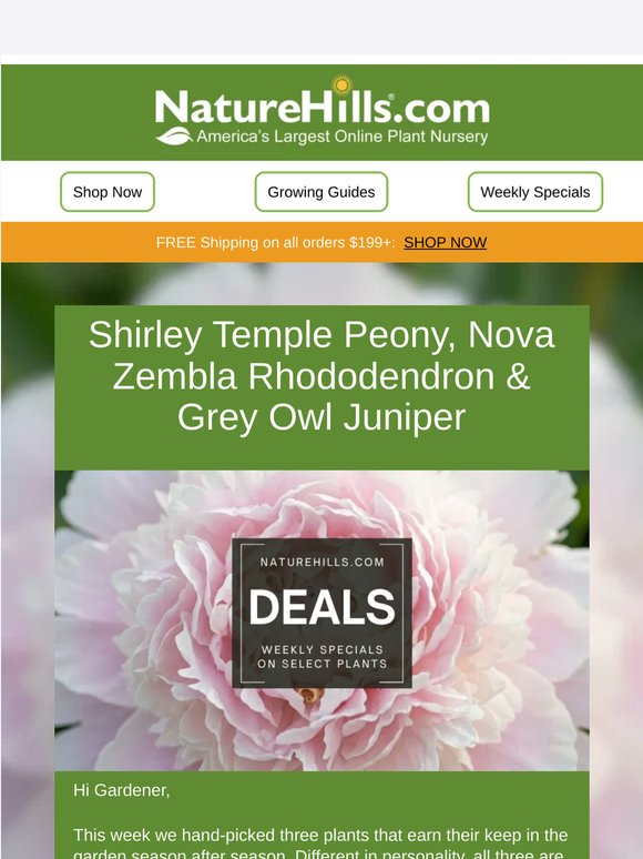 3 Plants Worth Planting Right Now (Up to 46% Off)