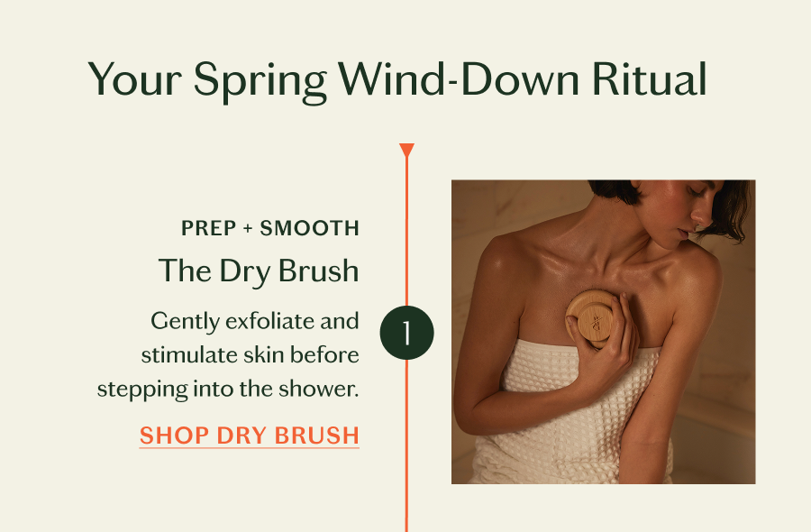 Shop Dry Brush