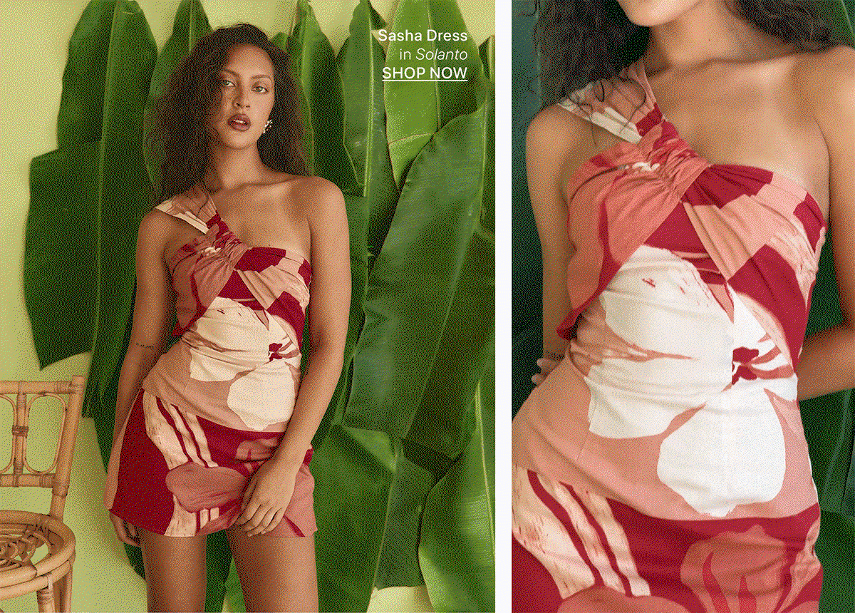 Sasha Dress In Solanto