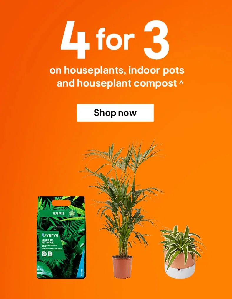 4 for 3 on houseplants, indoor pots and houseplant compost^ - Shop now