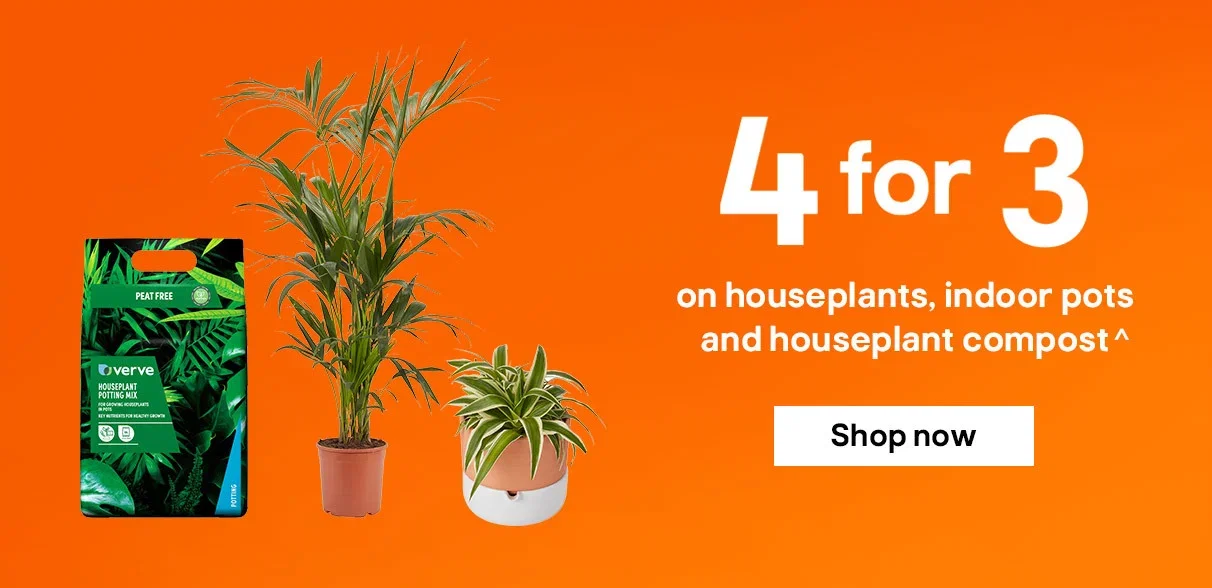 4 for 3 on houseplants, indoor pots and houseplant compost^ - Shop now